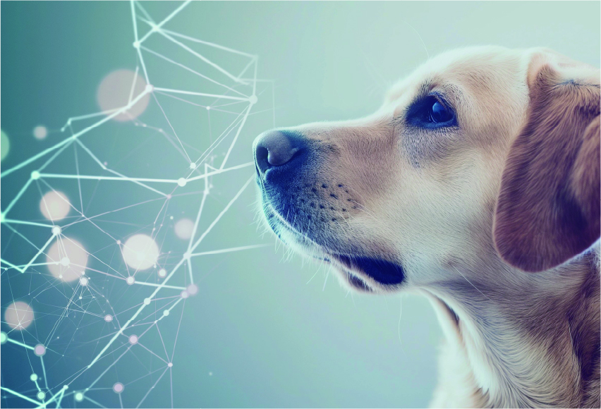 ペットIDプラットフォーム「animo」運営事業