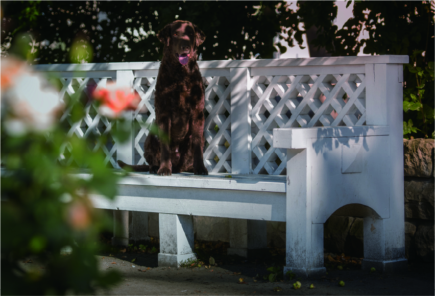 寄付・啓発活動