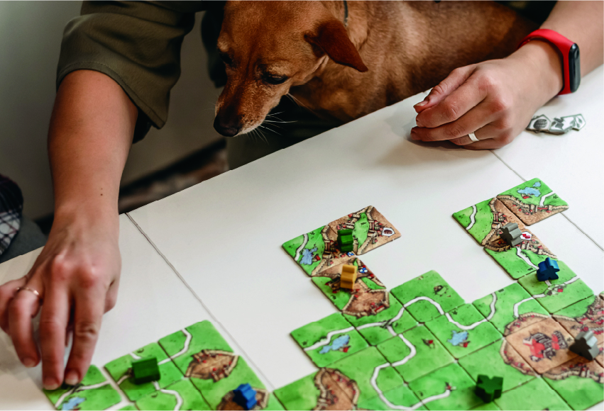 支援体制とプログラム