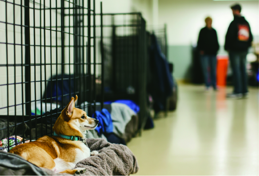 空き教室の活用